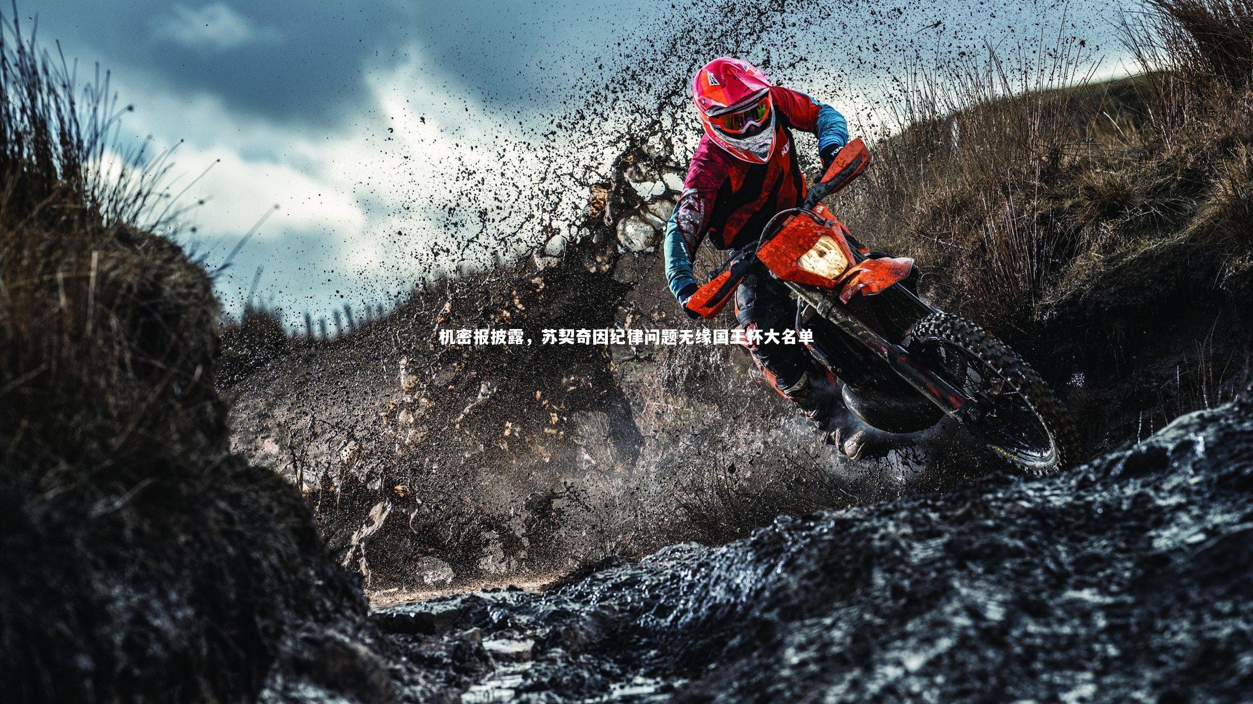 熊猫体育app下载|机密报披露，苏契奇因纪律问题无缘国王杯大名单